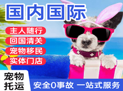 兴义万峰林机场空运国际宠物托运 【国